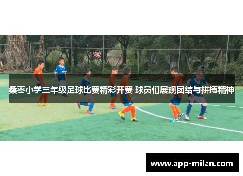 桑枣小学三年级足球比赛精彩开赛 球员们展现团结与拼搏精神